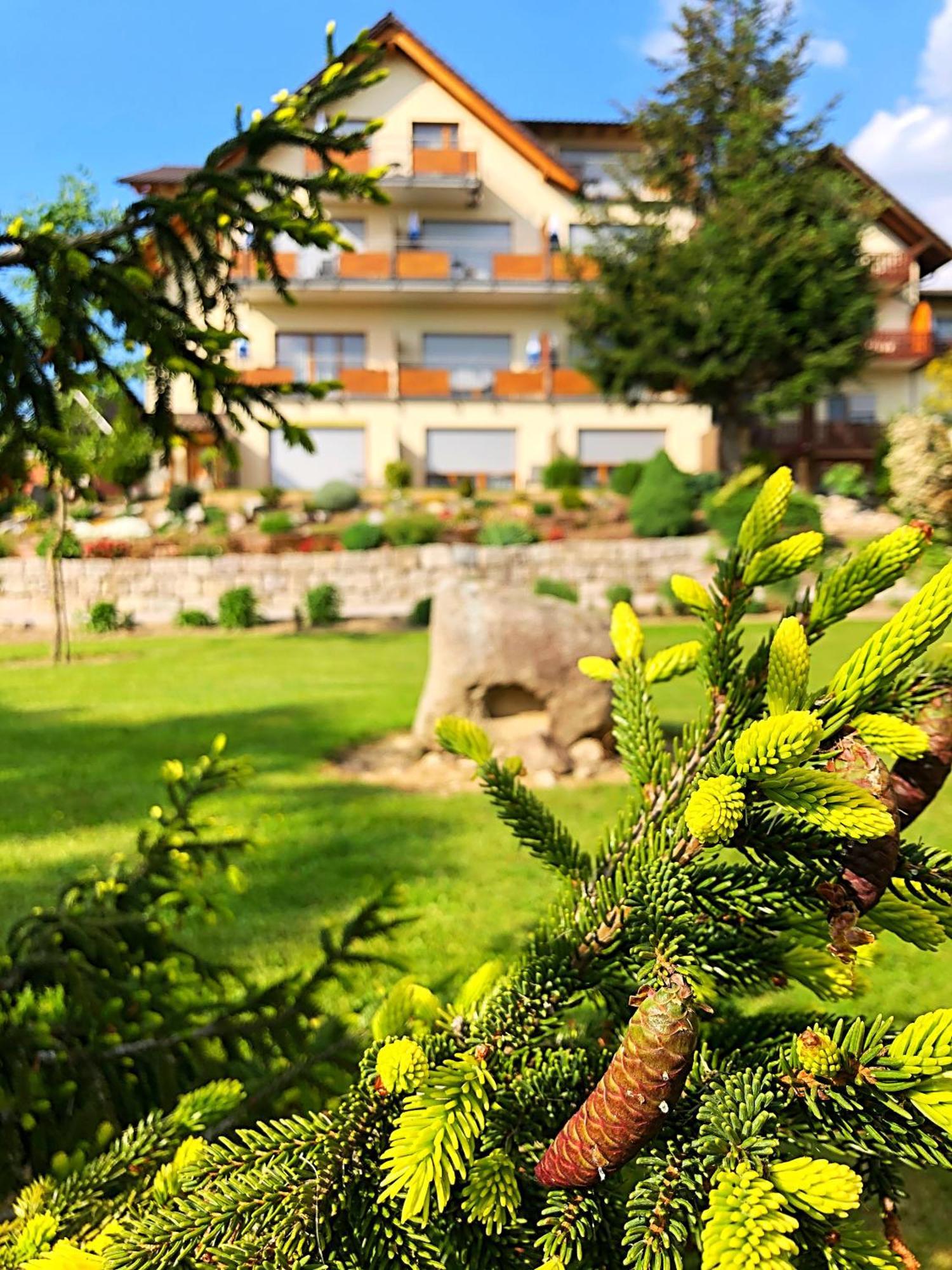 Hotel-Gasthof Rose Oberkirch (Baden) Exterior foto