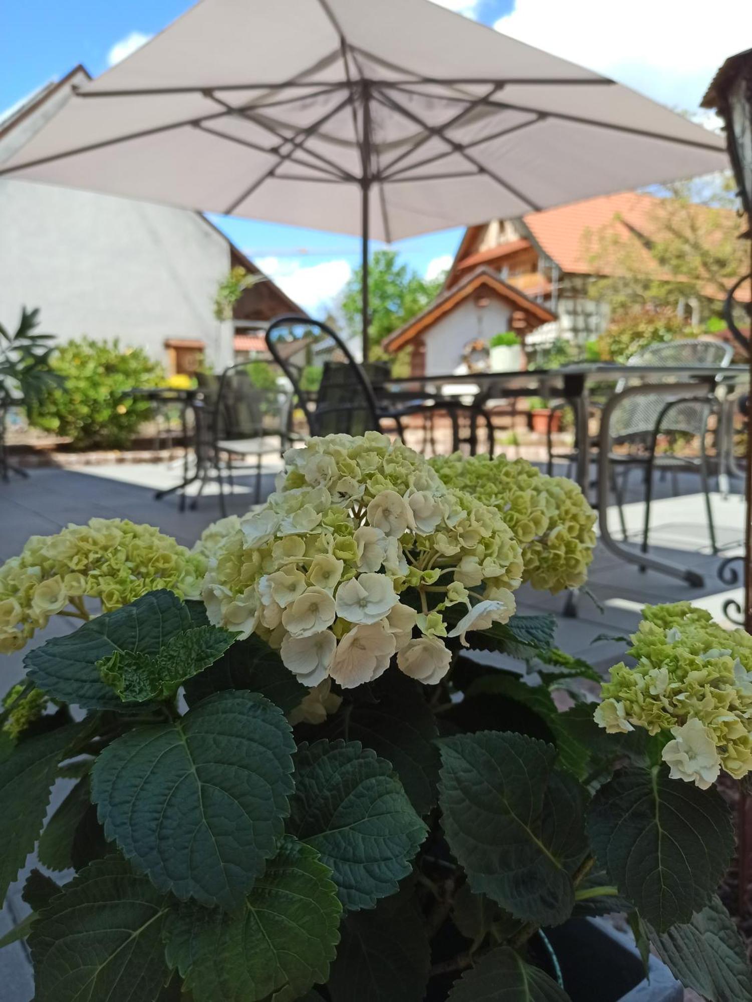 Hotel-Gasthof Rose Oberkirch (Baden) Exterior foto